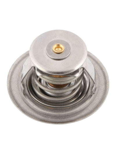 TERMOSTAT GRUBU