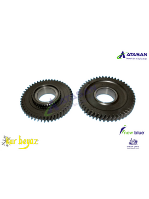 2 VİTES DİŞLİ 49 DİŞ CARRARO - Tümosan - Başak - 144266 - 1 Adet