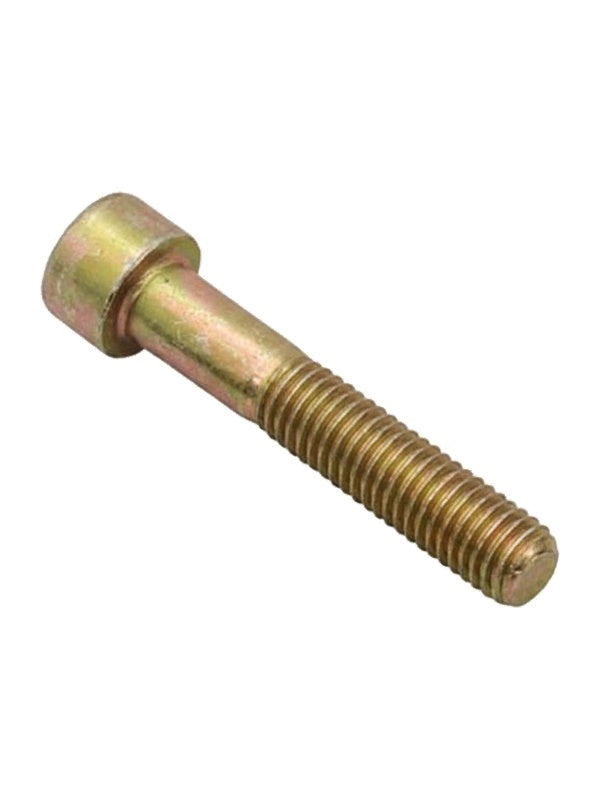 HİDROLİK FİLTRE MESNET CİVATASI KISA M8x30 İmbus - New Holland 55 - 60 - 70 - 5131051 -   10 Adet - OEM: 5131051 - Yaman Traktör Yedek Parça