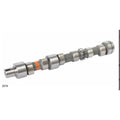 EKSANTRİK MİLİ BLUMASTER 3 Cly (13070) - TT 50.95.65.75 - 84300579 -   1  Adet