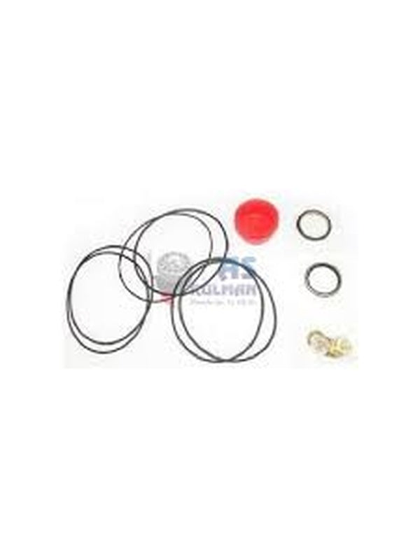 DİREKSİYON DANFOZ TAMİR TAKIM FİBERİ O-RİNGLİ BEYAZ - New Holland - Massey Ferguson - Erkunt - Tümosan - Steyr-Başak - 9970369-1 -   1  Adet