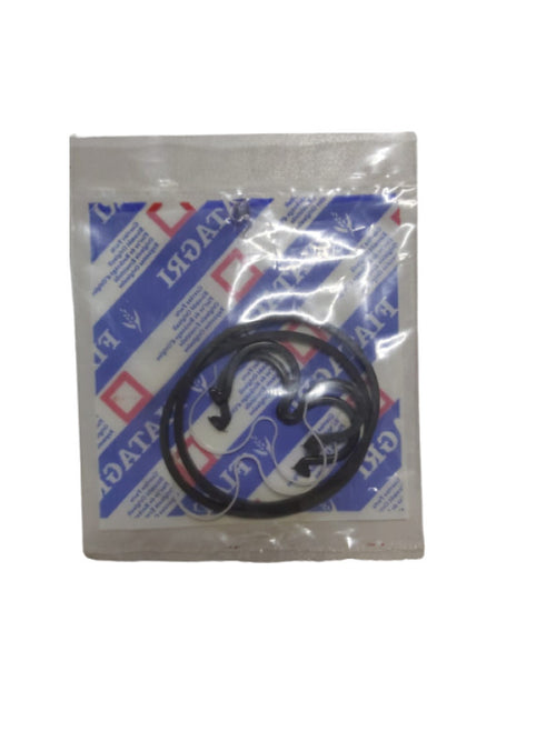 HİDROLİK TANDEM POMPA TAMİR TAKIM 0017659U91 - Massey Ferguson 266 - 277 - 3050 - 8281557 -   1  Adet