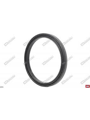 ÖN DİFRANSİYEL PORYA KEÇESİ 165x195x16,5/18  7261548 - TMS/MF/LND/CAR/HTT - 88350 -   1  Adet